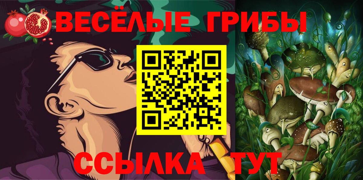 Галлюциногенные грибы мухоморы  Вход с VPN  Галлюциногенные грибы Psilocybe  Медногорск 