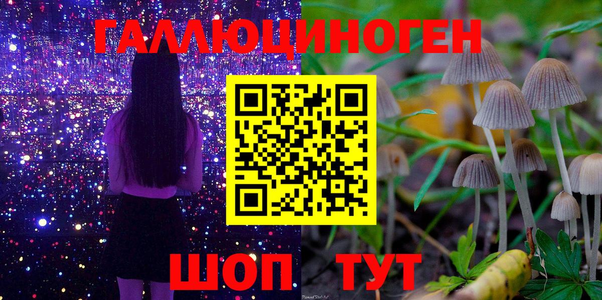 Псилоцибиновые грибы прущие грибы Медногорск